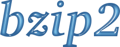 บซิป2