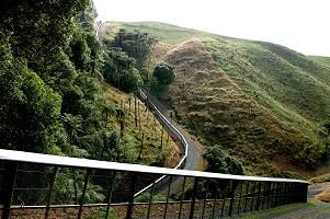 เกาะเชิงนิเวศ