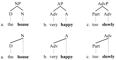 การแตกแขนง (ทางภาษาศาสตร์)