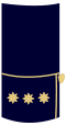โคโรเนล