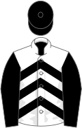 White, black chevrons, sleeves and cap