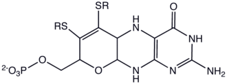 Molybdopterin