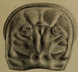 เพเจีย