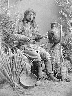 Apache fiddle