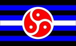 สีของธงสิทธิ BDSM