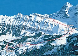 Lauberhorn (เส้นทางสกีลงเขา)