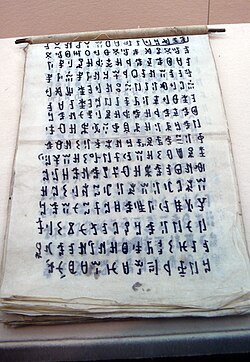 ภาษานัวซู