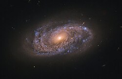 NGC 2906