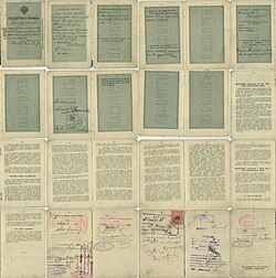 Internal passport