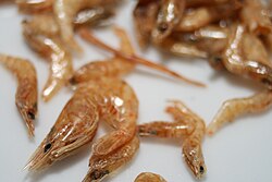 กุ้งแห้ง