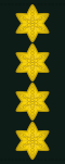 ทั่วไป (เดนมาร์ก)