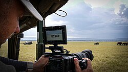 มังกร RED Epic Dragon กำลังออกล่าสัตว์ซาฟารี