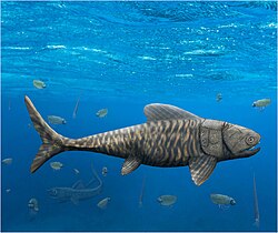 selenosteid ทะเลทะเล Amazichthys trinajsticae