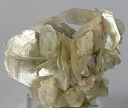 ชาวมอสโก