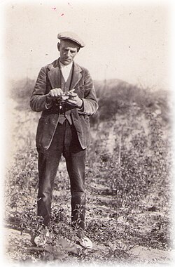 เปโดร ดอต ในทุ่งกุหลาบของเขาในทศวรรษ 1930