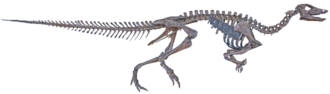 เทสเซโลซอรัส