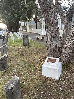 อนุสรณ์สถาน ANZAC แห่งอีสต์บอร์น ประดับด้วยต้นโพฮูตูคาวาและแผ่นป้ายที่มีไม้กางเขนสีขาวอยู่ด้านหลัง