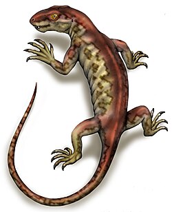 กาเลปัส
