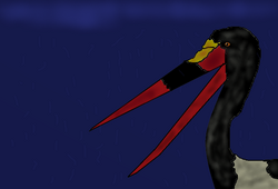 Palaeoephippiorhynchus