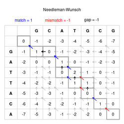 อัลกอริทึม Needleman–Wunsch