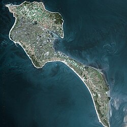 นัวร์มูติเยร์
