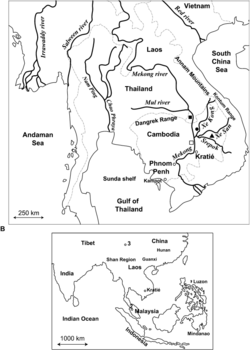 Schistosoma mekongi