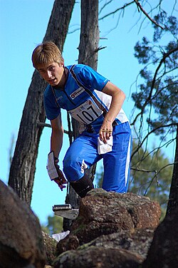 Timo Sild