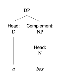 DP ที่มีส่วนหัวเป็น D "a" และส่วนเติมเต็มเป็น NP โดยที่ NP นั้นมีส่วนหัวเป็น N "box"