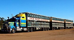 รถไฟบนถนน