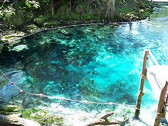 อุทยานแห่งรัฐแฟนนิงสปริงส์