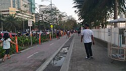 เลนจักรยานประเภทที่ 1 พร้อมเกาะกลางปลูกต้นไม้และทางแยกริมถนนโรซาส บูเลอวาร์ด ในกรุงมะนิลา