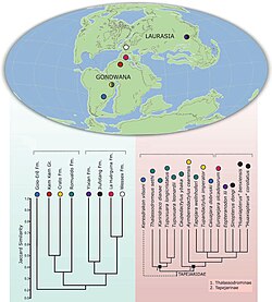 แผนที่แสดงสภาพโลกในยุคครีเทเชียส และแผนภูมิวิวัฒนาการแสดงความสัมพันธ์ระหว่างสัตว์ปีกดึกดำบรรพ์บางชนิด