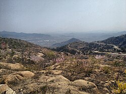Changqing, Jinan