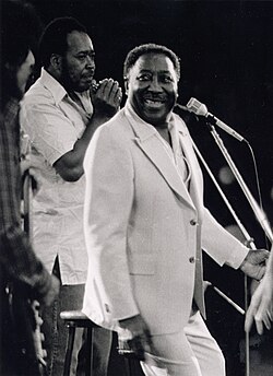 ผลงานเพลงของ Muddy Waters