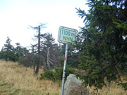 Normalhöhennull