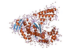 เอนไซม์ Taq polymerase