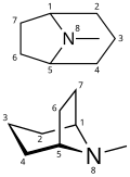 Tropane