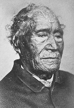 Tāmati Wāka Nene