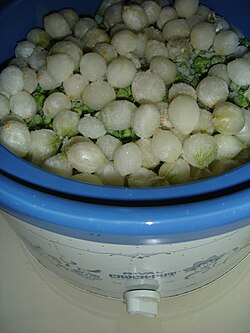 หัวหอมไข่มุก