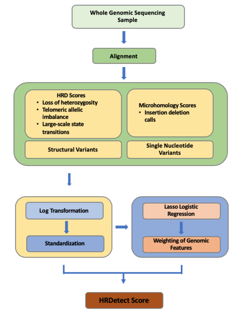 HRDetect