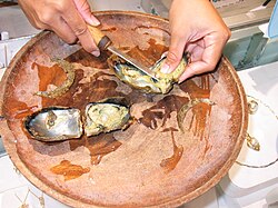 ภาพหอยนางรมที่เปิดแล้วในชาม โดยมีคนกำลังใช้มีดแกะไข่มุกออก