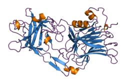 Tetanus toxin
