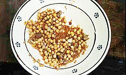 กุชเชีย
