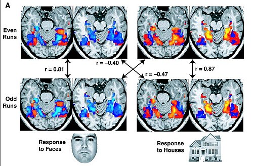 ภาพ fMRI จากการศึกษาแสดงให้เห็นว่าบางส่วนของสมองทำงานเมื่อเห็นบ้าน และส่วนอื่นๆ ทำงานเมื่อเห็นใบหน้า