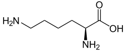 ไลซีน
