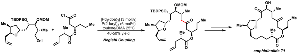 ปฏิกิริยาการเชื่อมต่อแบบ Negishi ในการสังเคราะห์ Amphidinolide T1 อย่างสมบูรณ์