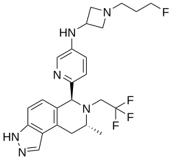 คามิเซสเตรนต์