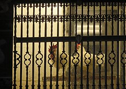 ไก่ตัวผู้และไก่ตัวเมียอยู่หลังลูกกรงเหล็ก