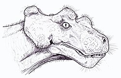 เบอร์เนเทีย