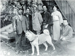 สุนัขสตัฟฟ์โดยช่างสตัฟฟ์สัตว์